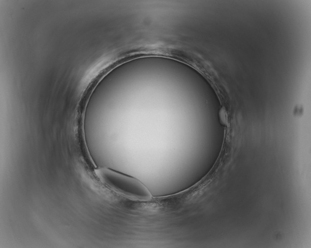 X0000112850344200908211036