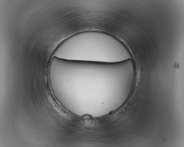 X0000112850345200908211036