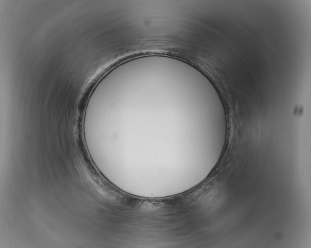 X0000112850346200908211036