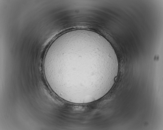 X0000112850347200908211036