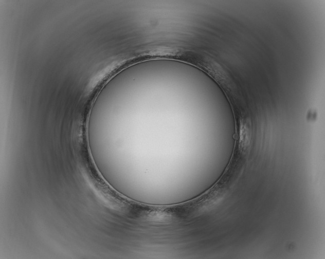 X0000112850348200908211036