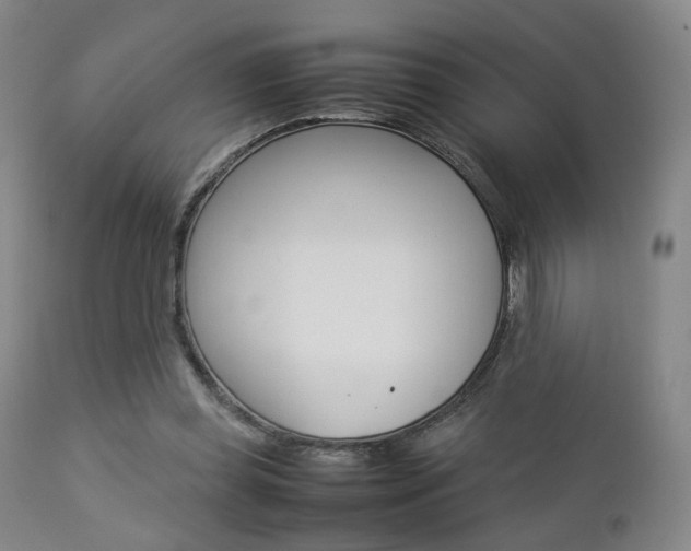 X0000112850349200908211036