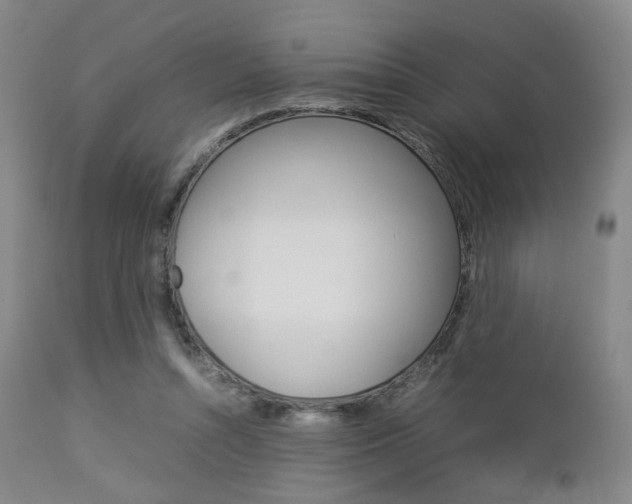 X0000112850352200908211036