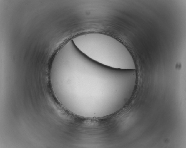 X0000112850354200908211036
