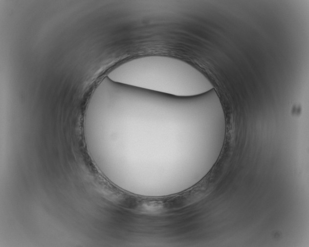 X0000112850355200908211036