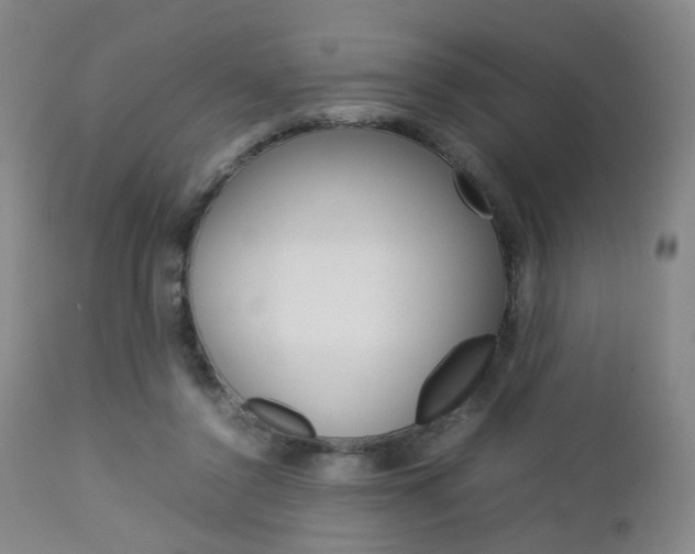 X0000112850356200908211036