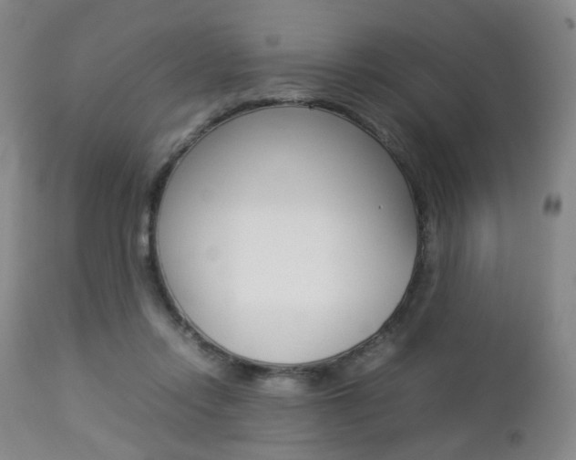 X0000112850358200908211036