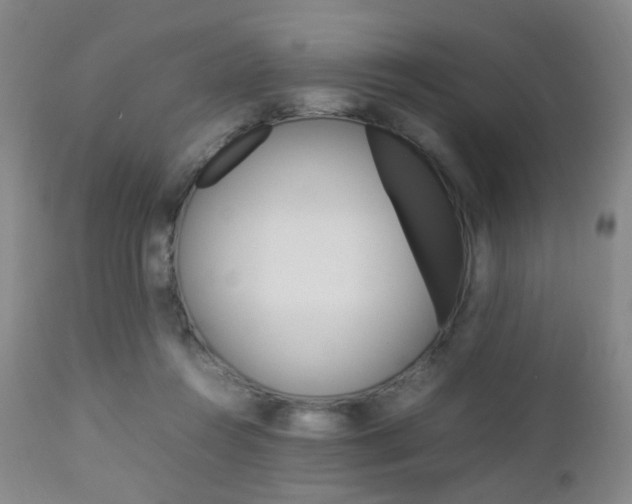 X0000112850360200908211036