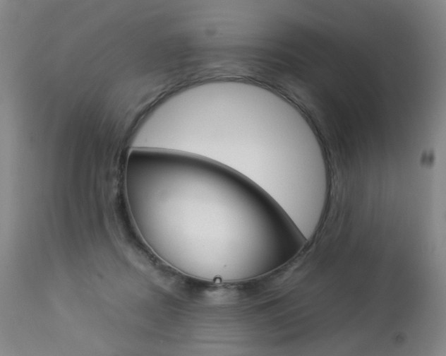 X0000112850362200908211036