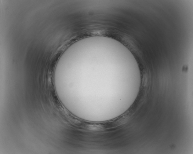 X0000112850363200908211036