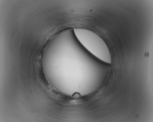 X0000112850364200908211036