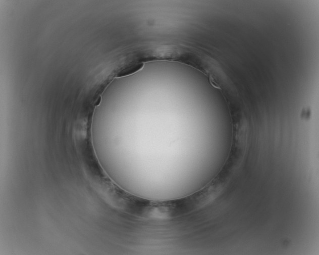 X0000112850368200908211036