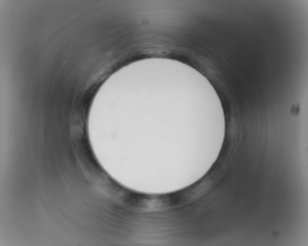 X0000112850370200908211036