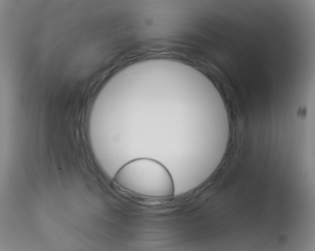 X0000112850372200908211036