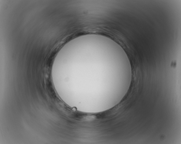 X0000112850374200908211036