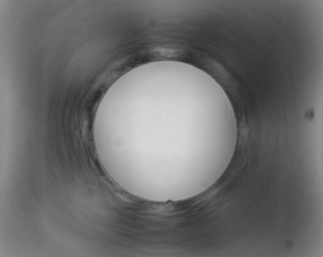 X0000112850377200908211036