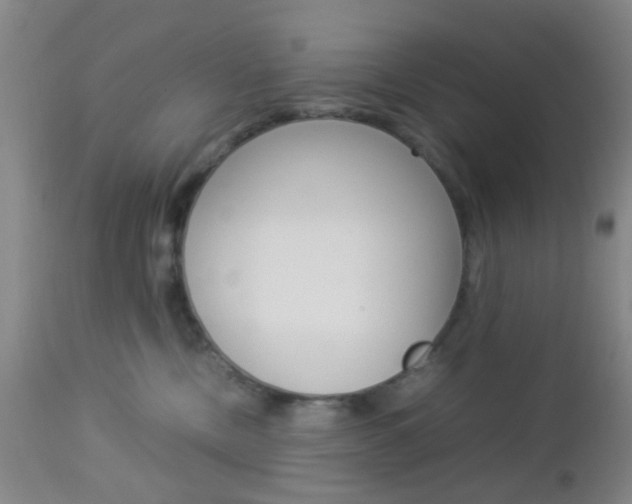 X0000112850378200908211036