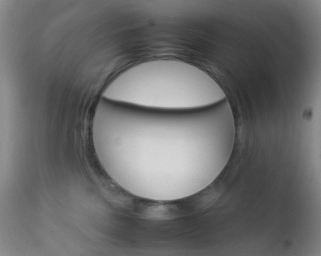 X0000112850379200908211036