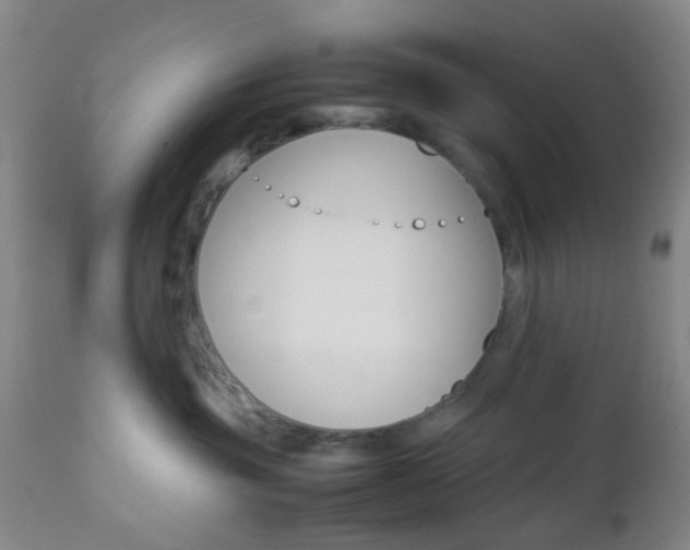 X0000112850381200908211036