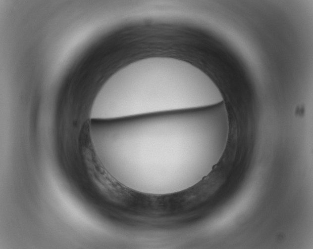 X0000112850383200908211037