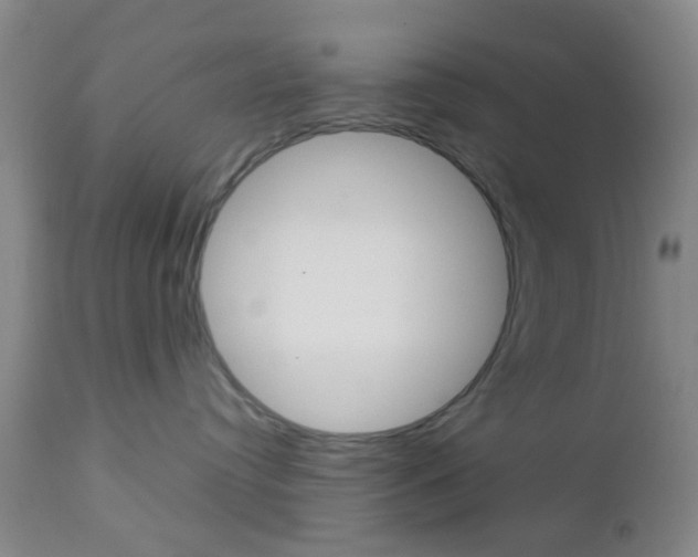 X0000112850384200908211037