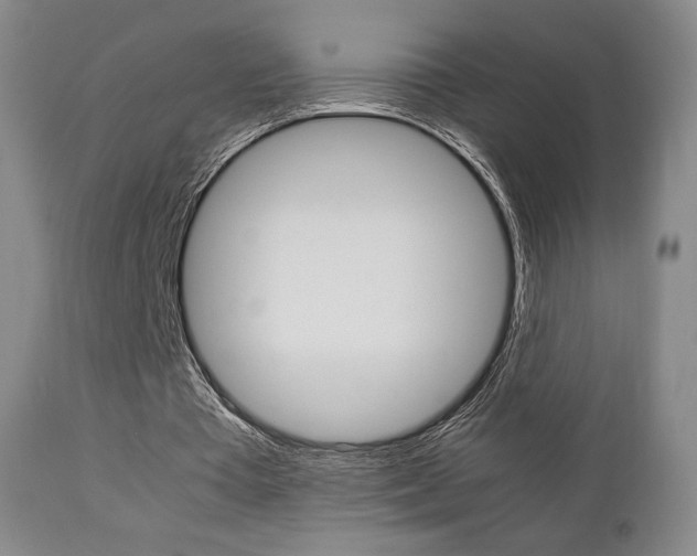 X0000112850385200908211036