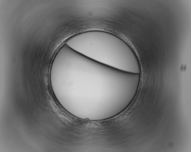 X0000112850386200908211036