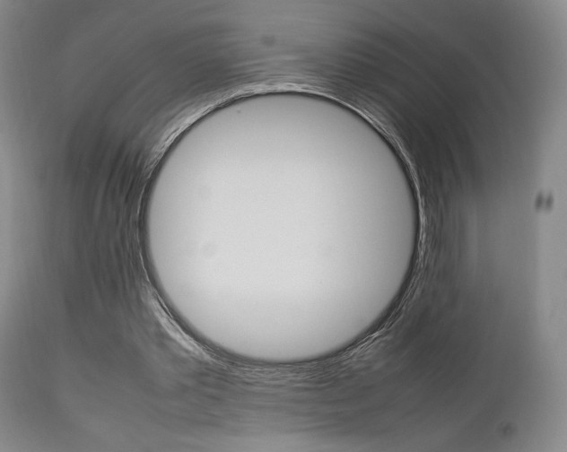 X0000112850389200908211036