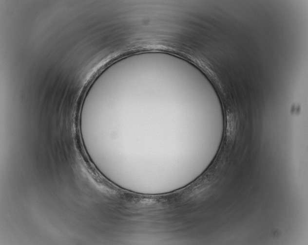 X0000112850390200908211036