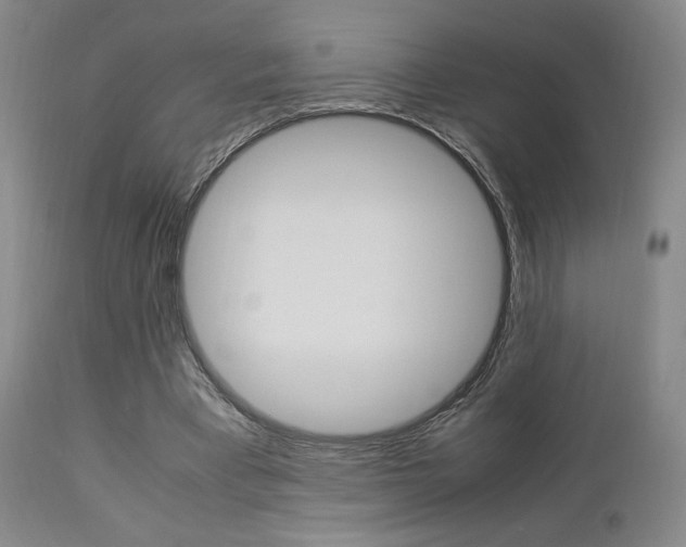 X0000112850393200908211035