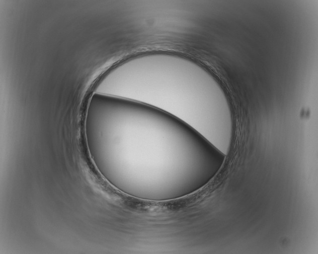 X0000112850395200908211035