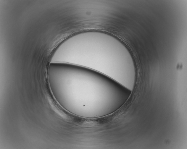 X0000112850397200908211035