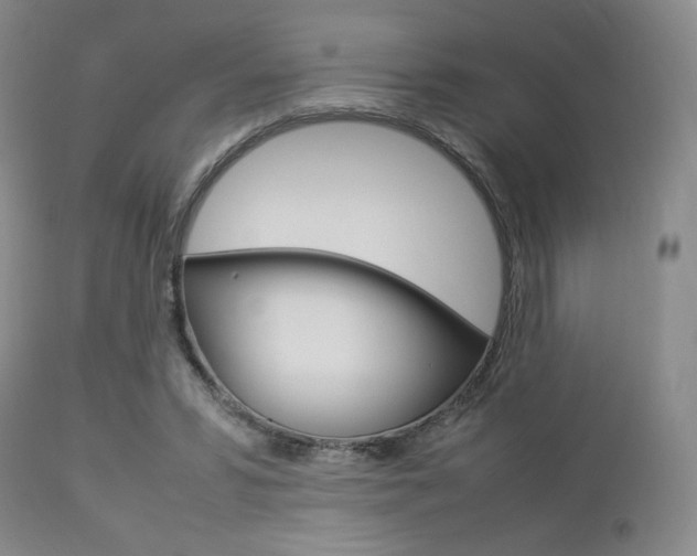 X0000112850399200908211035