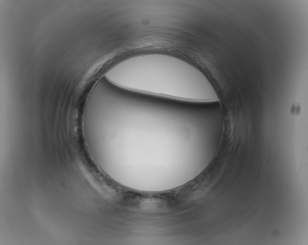 X0000112850400200908211035