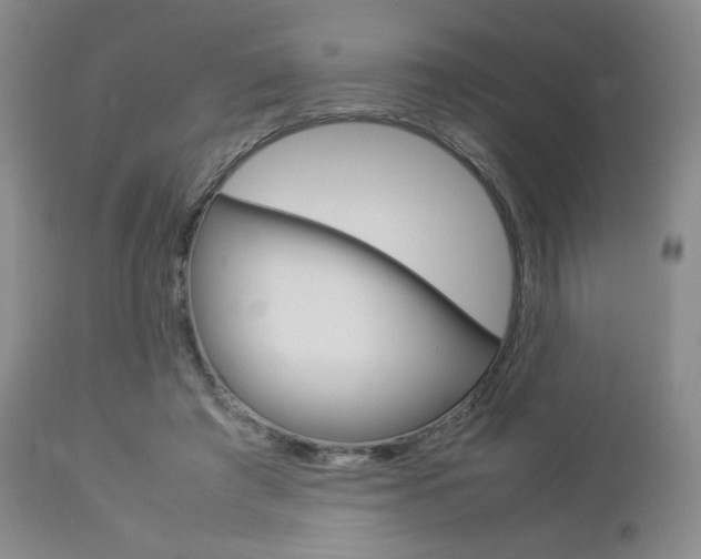X0000112850401200908211035