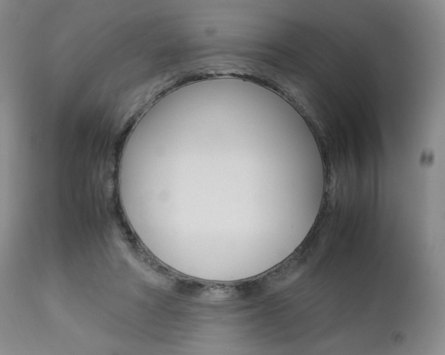 X0000112850402200908211035