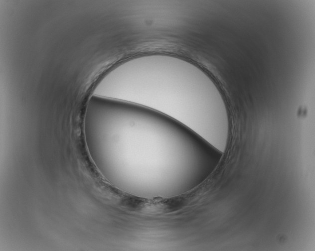 X0000112850403200908211035