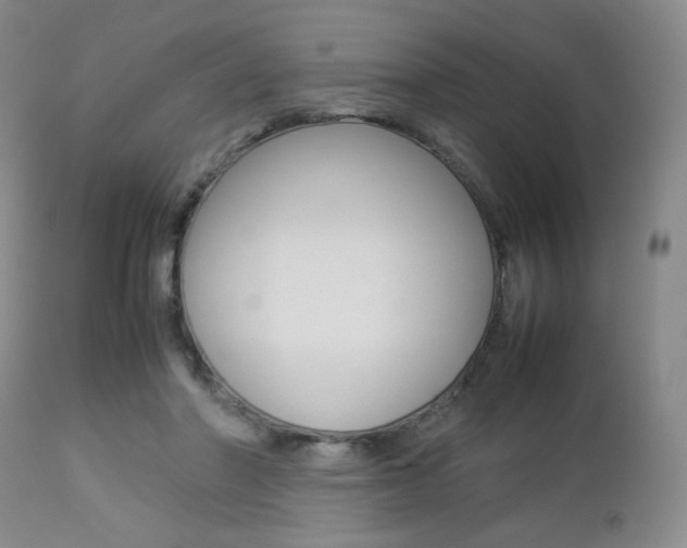 X0000112850406200908211035