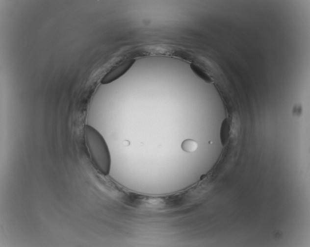 X0000112850409200908211035