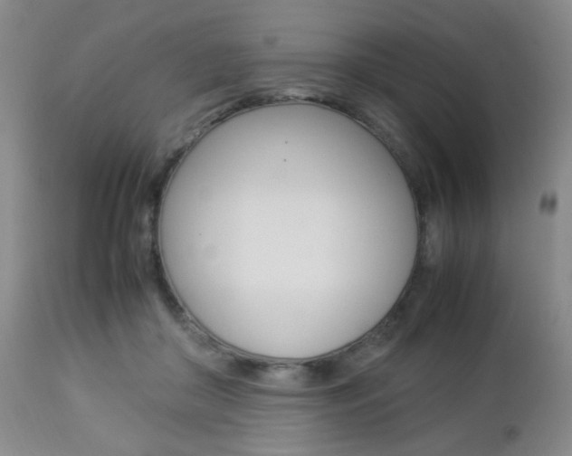 X0000112850410200908211035