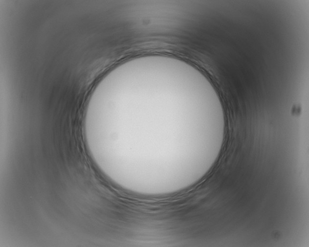 X0000112850411200908211035