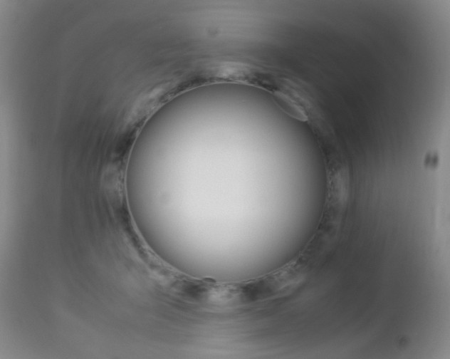 X0000112850415200908211035