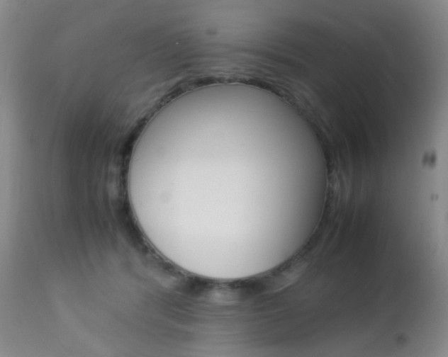 X0000112850416200908211035