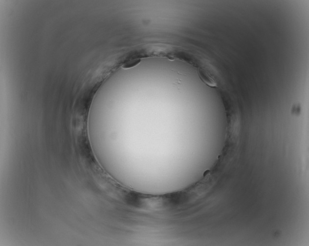X0000112850417200908211035