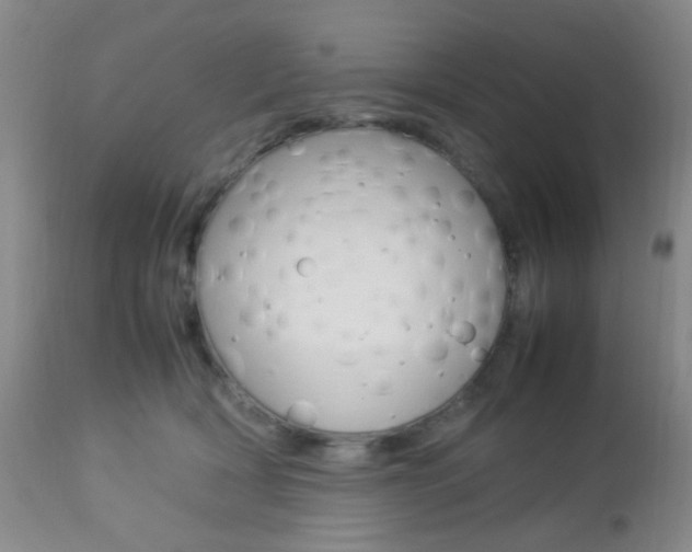 X0000112850418200908211035