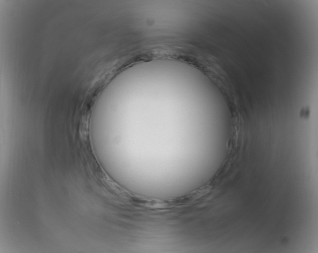 X0000112850419200908211035