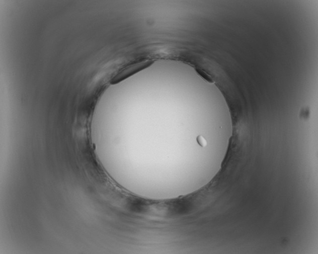X0000112850423200908211035