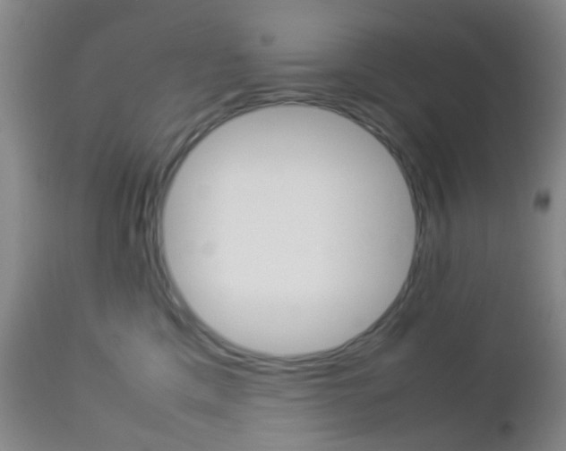 X0000112850425200908211035
