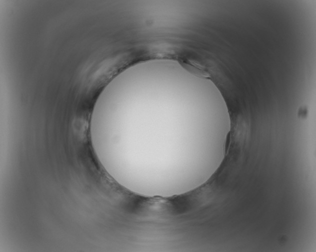 X0000112850427200908211035