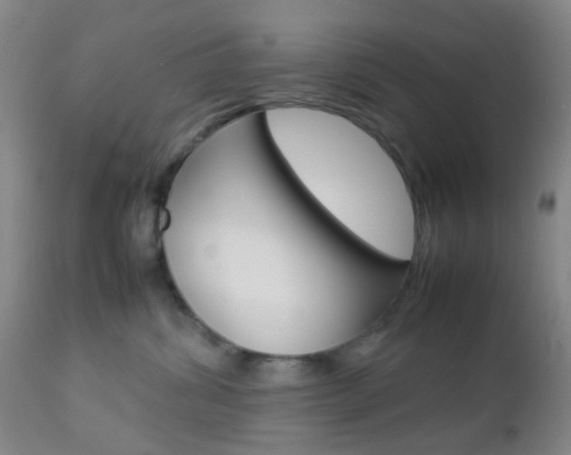 X0000112850428200908211035